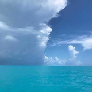 Meet your Posher, Drowne